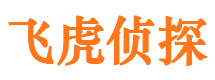 平阴调查事务所